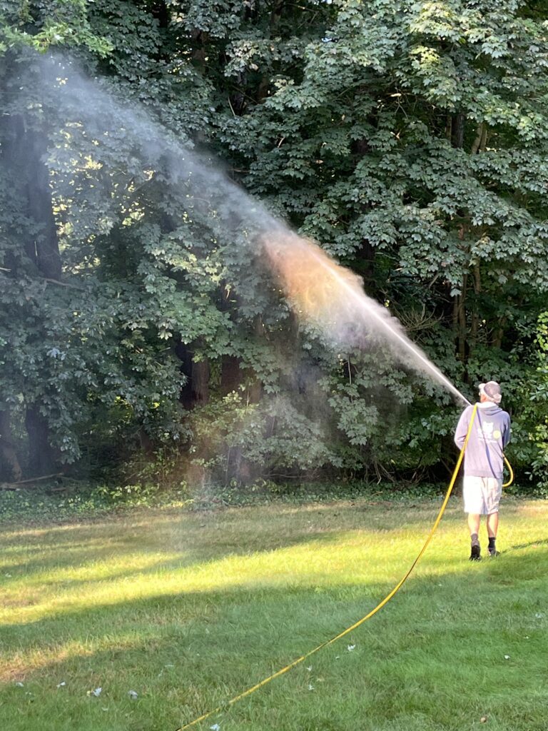 ohDEER technician spraying all-natural mosquito control up into trees 