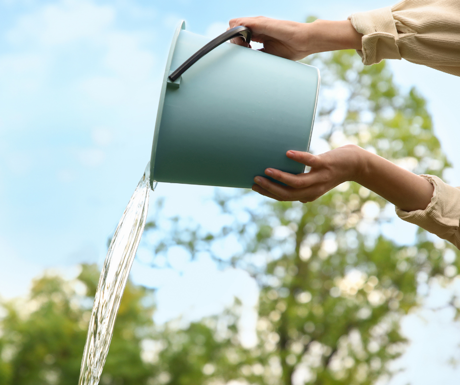 dump our standing water to prevent mosquito breeding on your property 