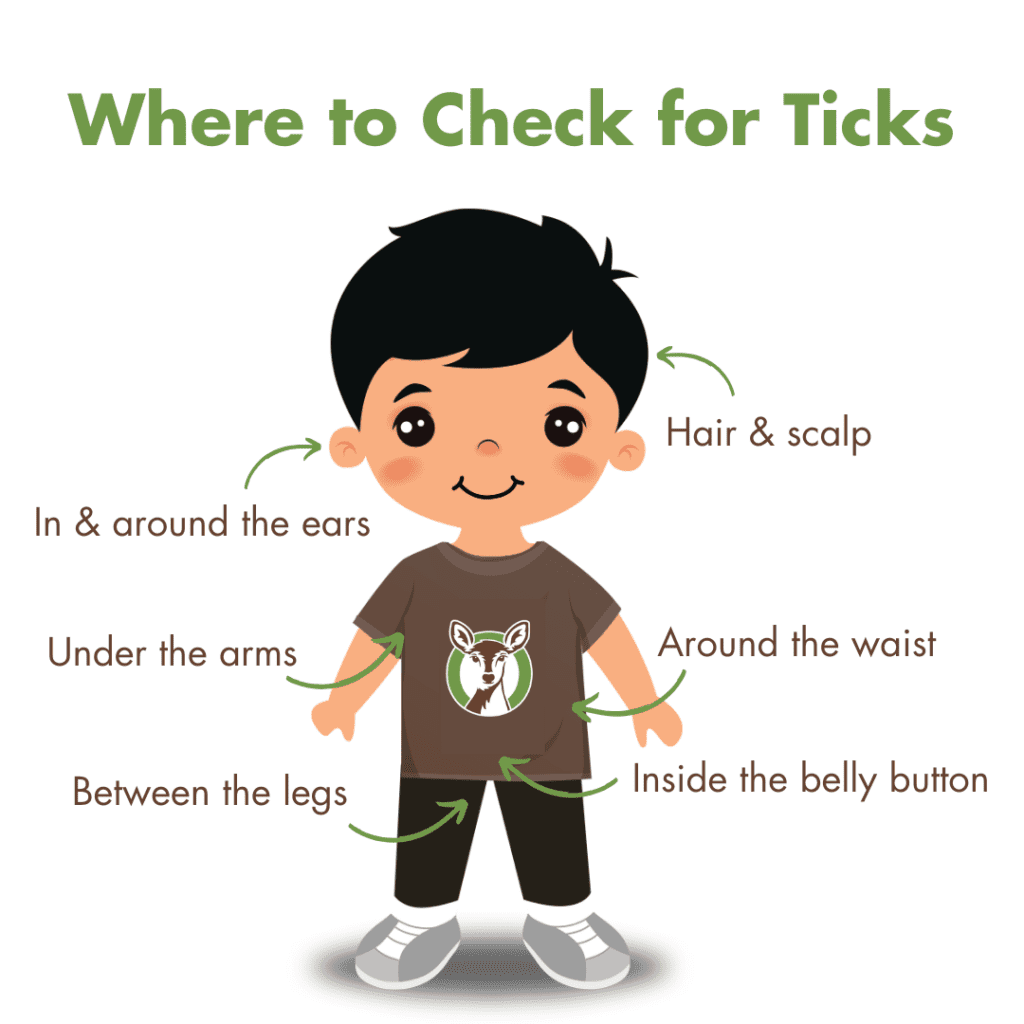 ohDEER tick check graphic where to check for ticks 