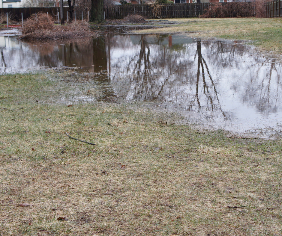 water collecting in low points on ground 