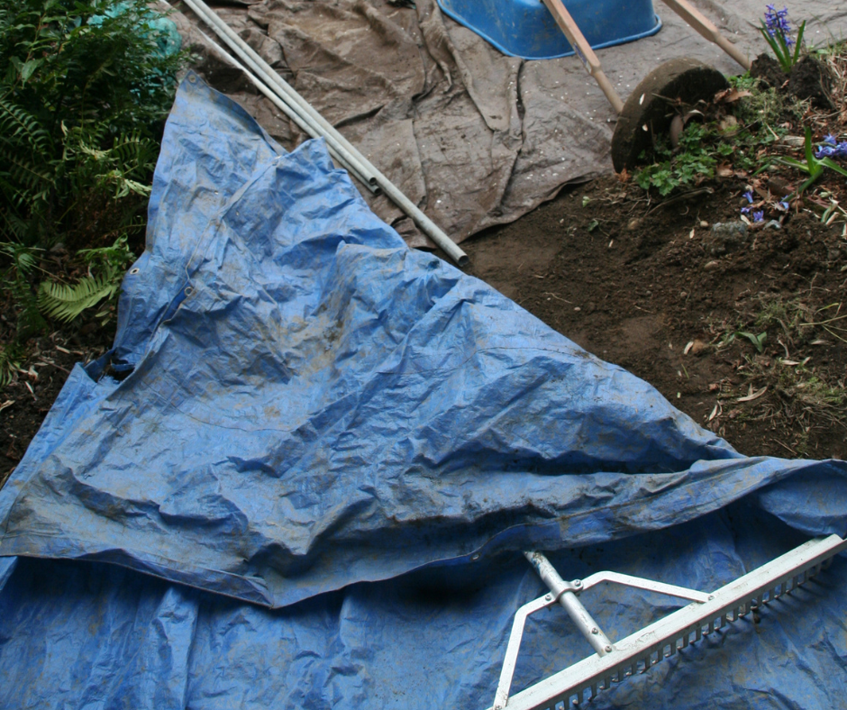 backyard tarp 