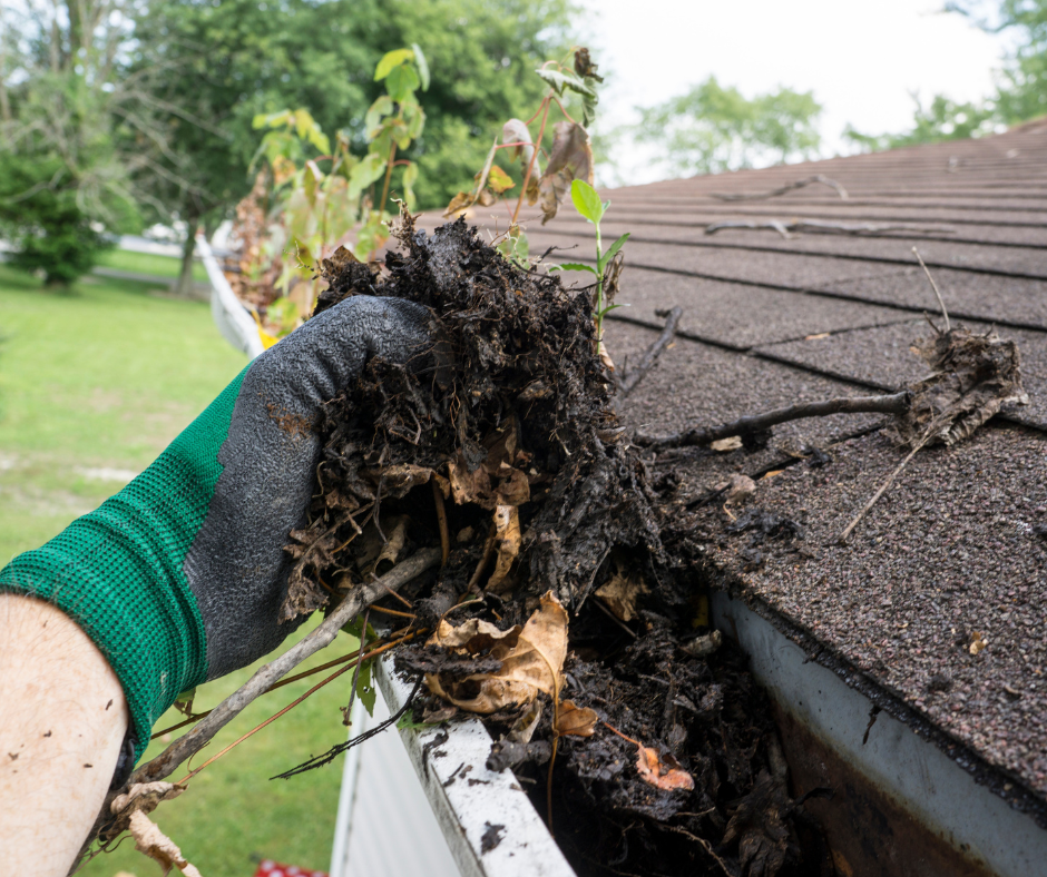 A gloved hand removes a large clump of wet leaves and debris from a clogged house gutter.