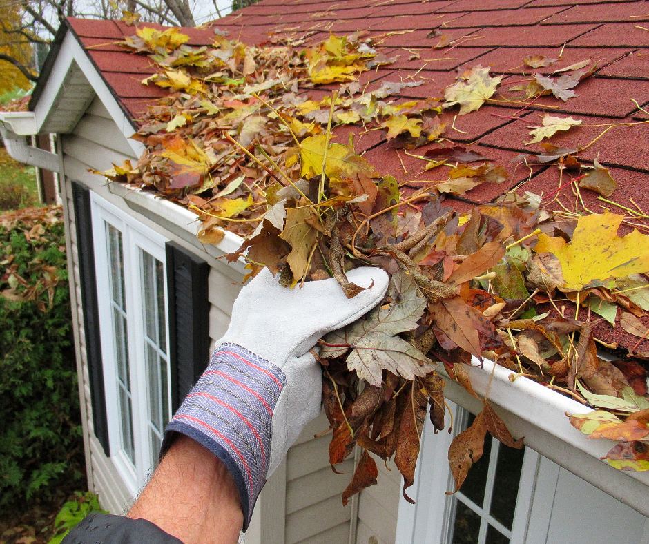 A gloved hand removes a large pile of colorful autumn leaves from a clogged house gutter.