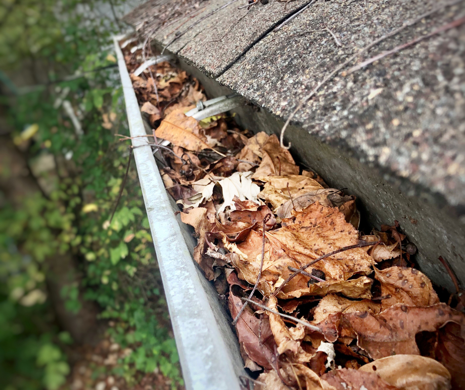 A rain gutter is completely clogged with a thick layer of dry brown autumn leaves and twigs