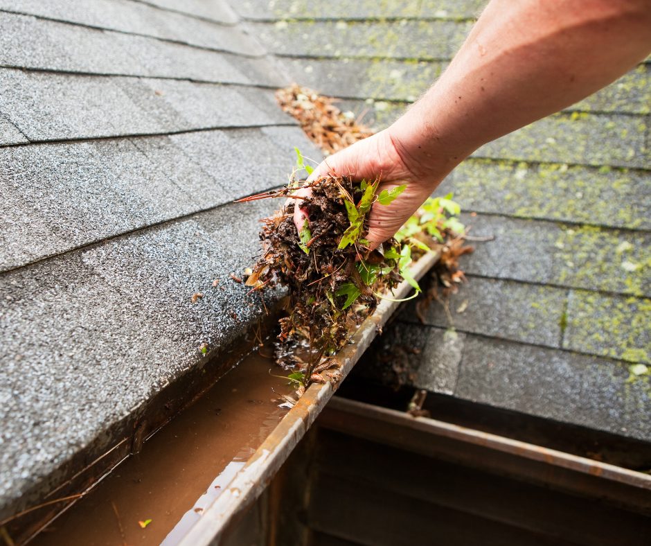 A hand removes wet leaves and debris from a clogged house gutter filled with dirty water
