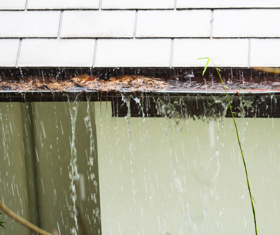 Rainwater overflows from a debris-filled roof gutter, cascading down a light wall.