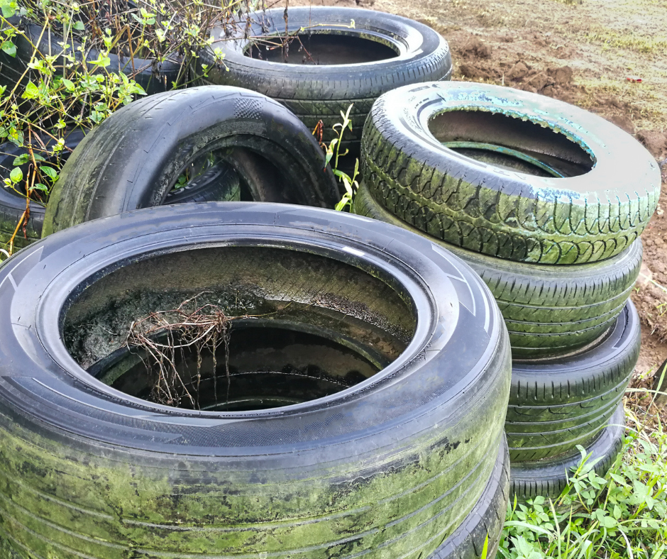 Weathered car tires, some stacked and covered in green moss, are scattered outdoors amidst dirt