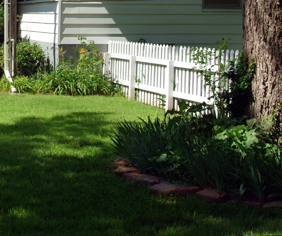 A sunny backyard with a green lawn, white picket fence, house, and large tree.
