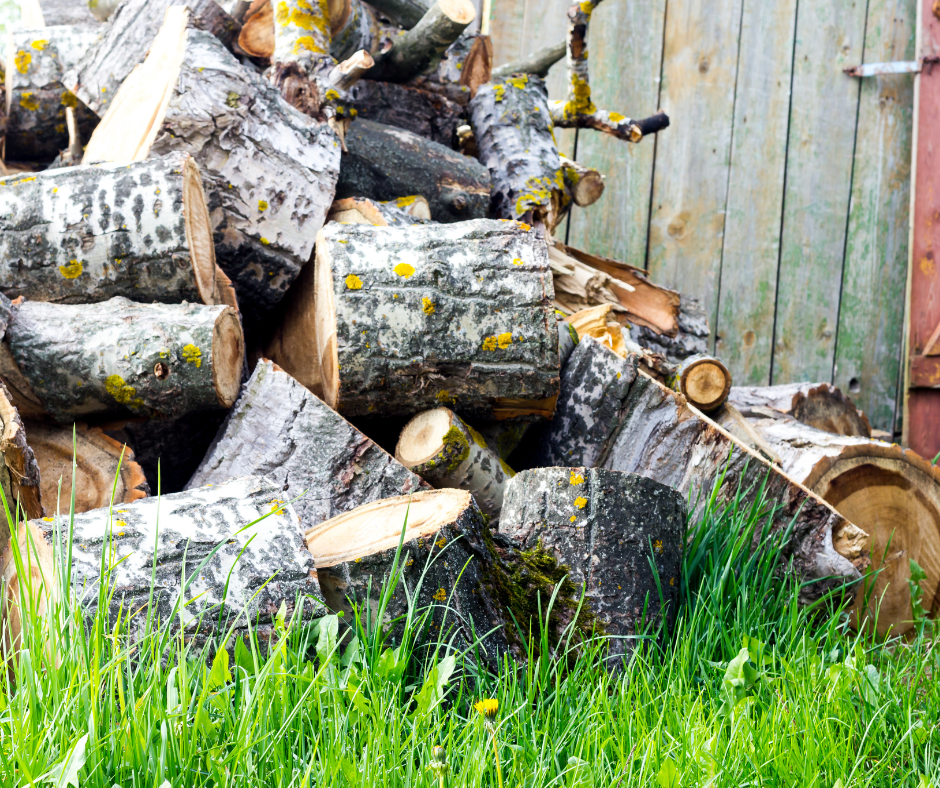 Roughly cut firewood logs with yellow lichen are stacked on green grass by a weathered wooden fence.