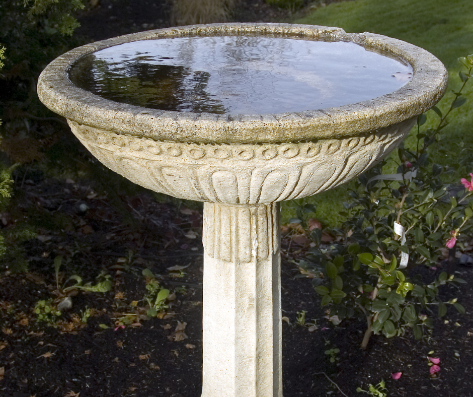 A decorative stone bird bath filled with water stands in a sunny garden.