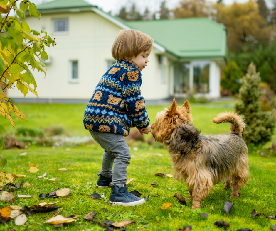 A child in a patterned sweater bends down to greet a small terrier dog on a leafy green
