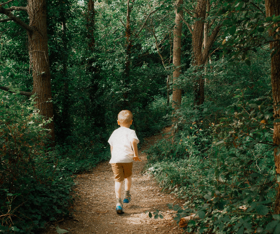 A young boy walks away on a dirt path through a lush green forest.