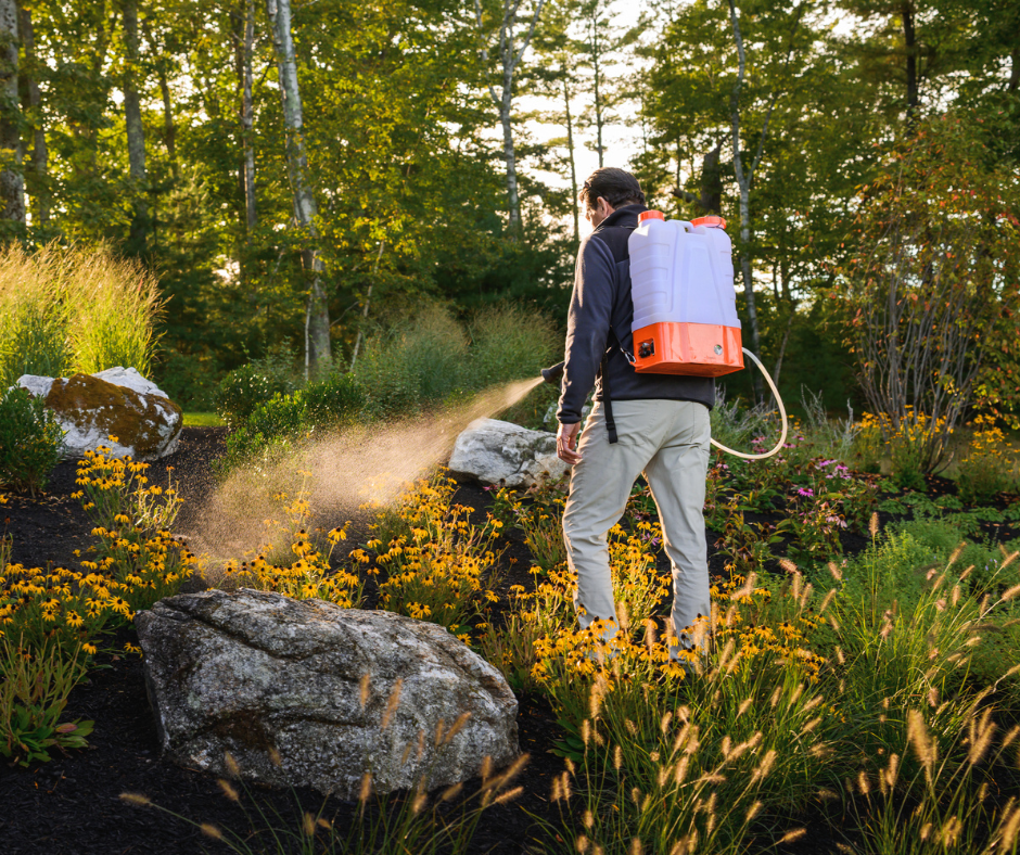 A person sprays plants with a white and orange backpack sprayer in a sunny garden.